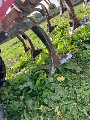 Déchaumeur à dents Horsch TERRANO 3 FX